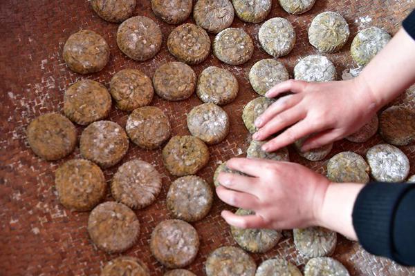 chinadb數(shù)據(jù)庫_立冬后重在“養(yǎng)神”，教你這么養(yǎng)！