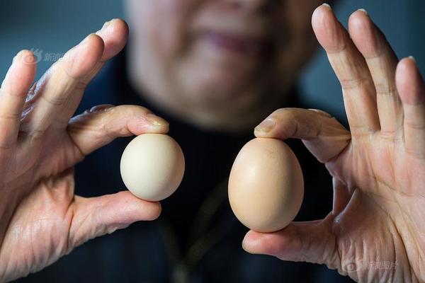 web端網(wǎng)頁版怎么進(jìn)入_北京動物園 北京熱度 7.25w