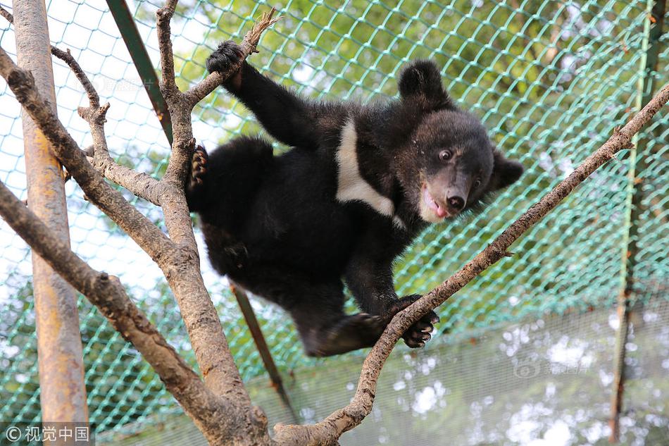 web端網(wǎng)頁版怎么進(jìn)入_北京動物園 北京熱度 7.25w