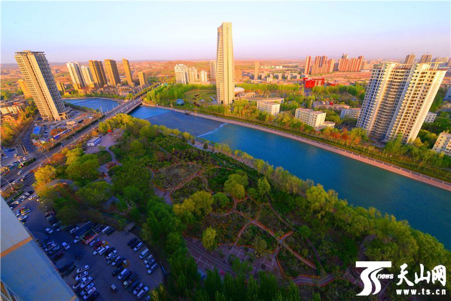 web前端開發(fā)網(wǎng)頁(yè)代碼_“大主母”成短劇圈新晉爆款人設(shè)