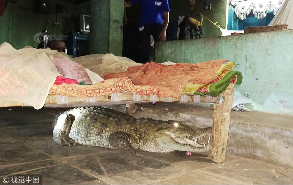 如何白嫖wangluo_招募 | 千年雕版印經(jīng)體驗(yàn)暨香灰宣紙?jiān)偕囆g(shù)活動(dòng)