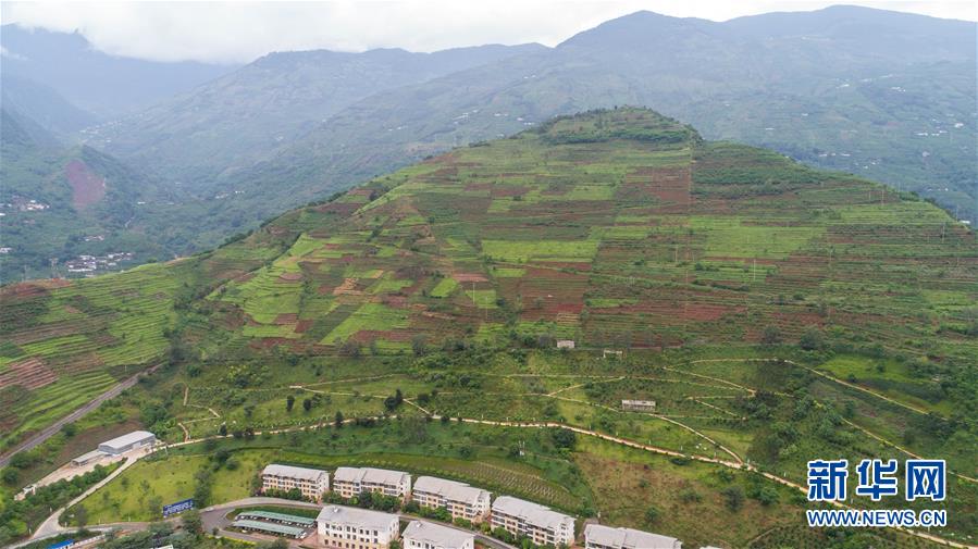 為何要全面禁產(chǎn)水銀體溫計(jì)