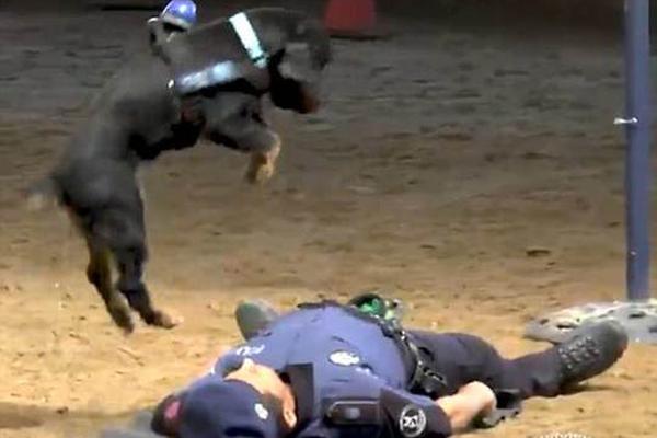 “許志安”式男人值得原諒么?