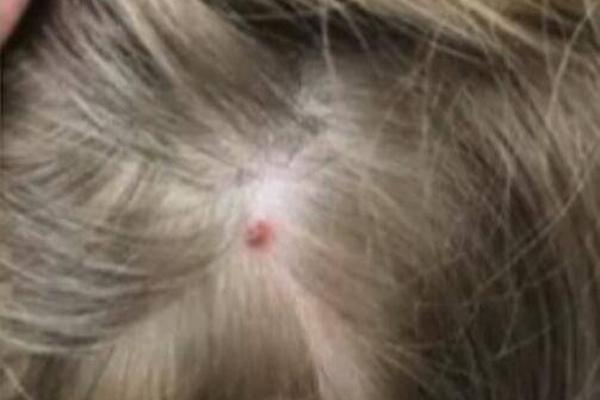 goby掃描漏洞_國際媒體關(guān)注中央經(jīng)濟工作會議