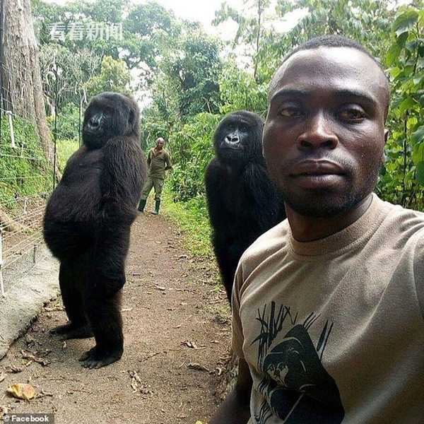 軟件測試轉(zhuǎn)行能做什么_格力電器到底是一只股票還是債券？