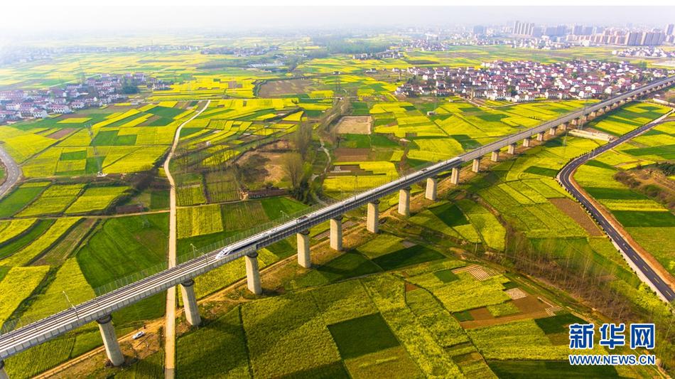 白楊老師可以改寫seo標(biāo)題_全球客商來義烏買買買，最吸引他們的是什么？