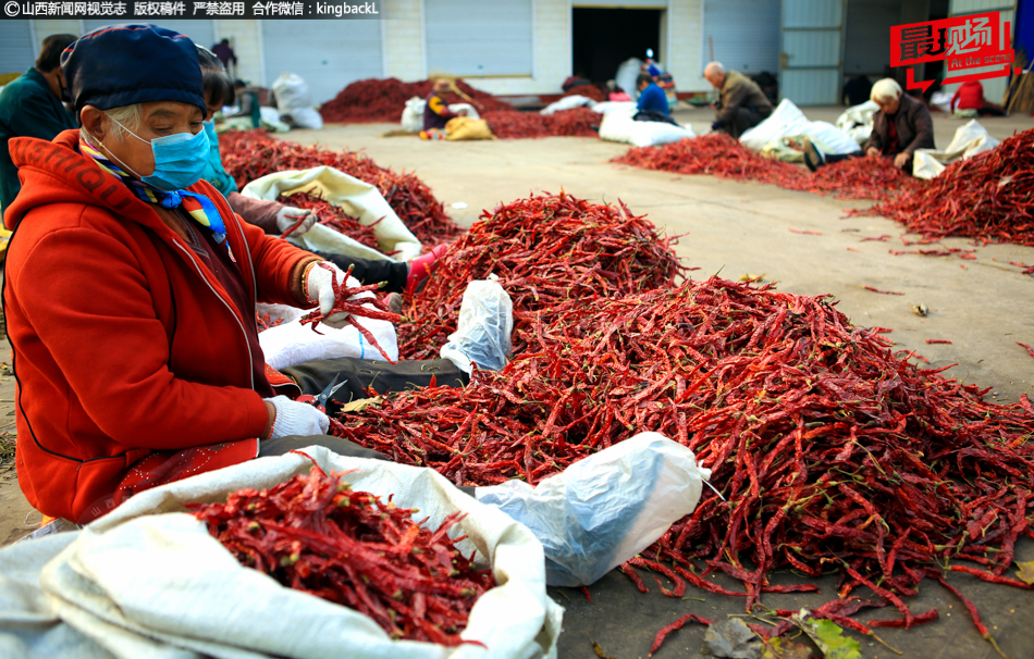 網(wǎng)站巡查制度_體育館斷電觀眾手機(jī)照亮現(xiàn)場