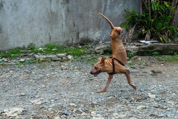 建立網(wǎng)站需要注意什么_再次提醒:中國公民近期避免前往日本
