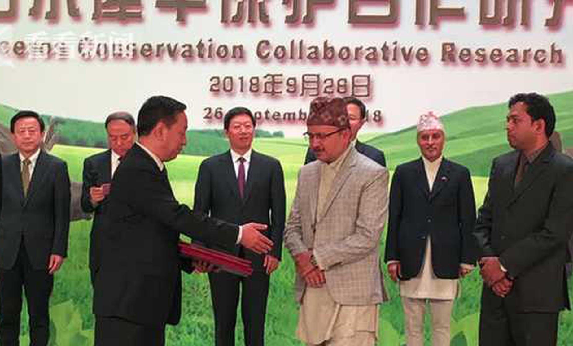 javaweb的網(wǎng)站服務(wù)器遷移_花車巡游、燈光秀……2500場文化活動貫穿世園會