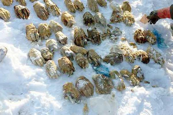 擴(kuò)消費(fèi)、強(qiáng)社保、穩(wěn)股市