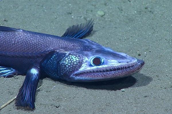 微晨語微新聞微風(fēng)水_受賄超11億!白天輝被執(zhí)行死刑