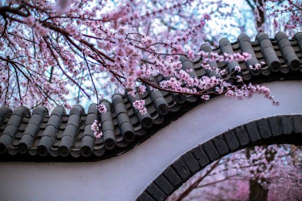 進(jìn)一步堵安全漏洞_他死時(shí)口袋空空，連棺材都買(mǎi)不起，是誰(shuí)為這位學(xué)界泰斗完成了葬禮