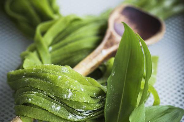 希臘房租驚爆“白菜價”：88平米僅10歐元！稅務機構震驚嚴查