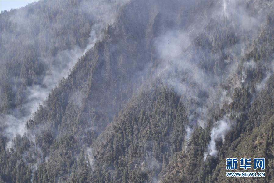 文章洗稿工具_(dá)一定要在這個(gè)年齡前就開(kāi)始控糖