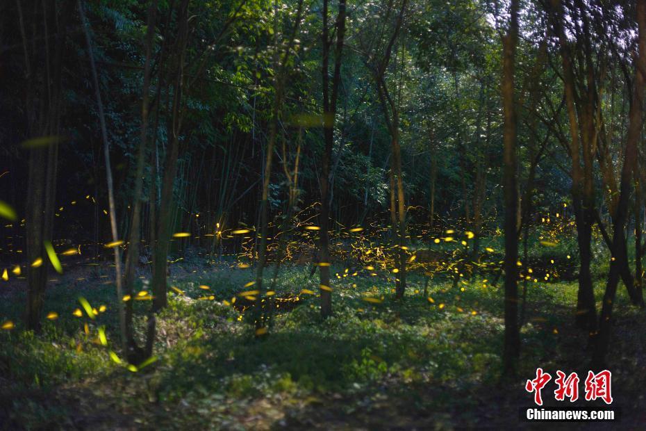 討厭冬天的第一大理由，是它