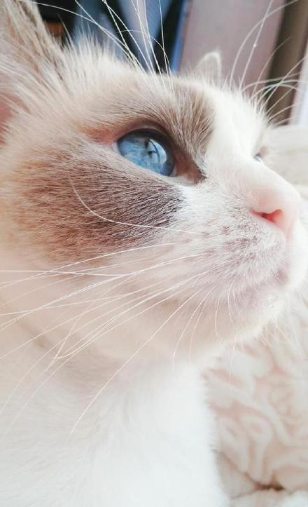 物業(yè)公司未在住建局備案怎么處罰_中方警告高市早苗：認認真真 老老實實！