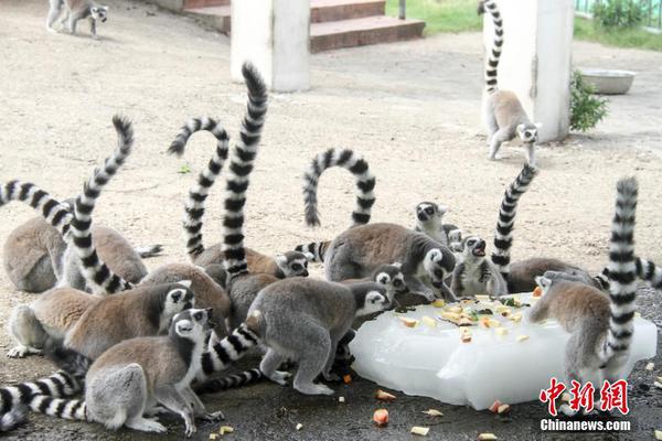 騰訊qq找回密碼中心_日本專家:青森地震和2011年東日本大地震成因相似