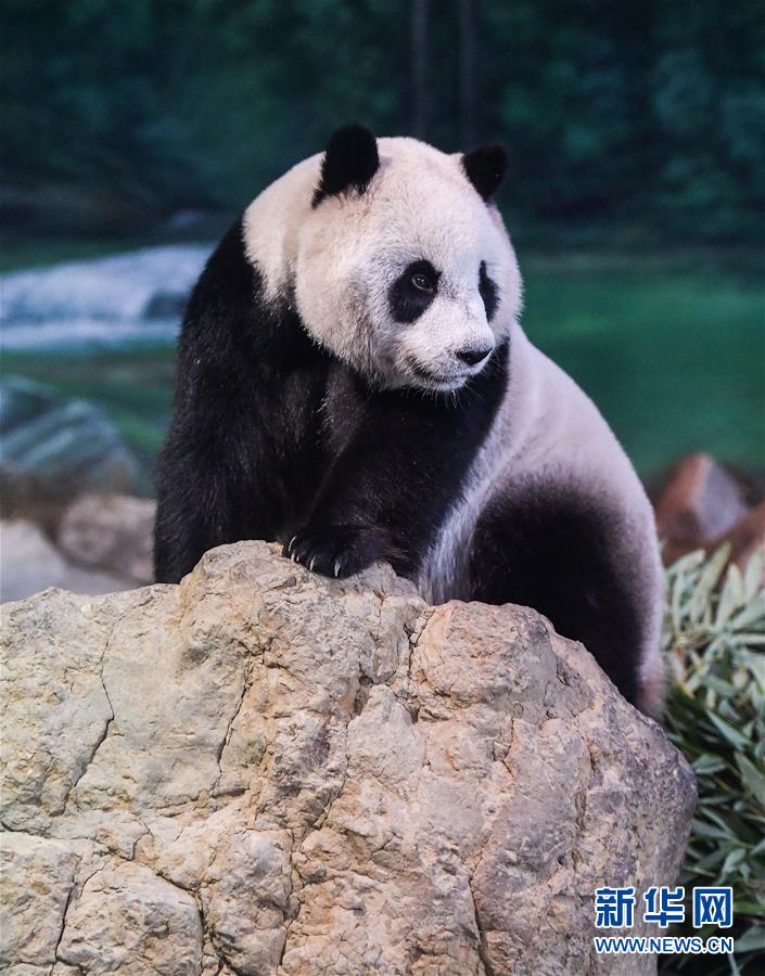 如何做好今年供暖季能源保供（政策問(wèn)答·回應(yīng)關(guān)切）