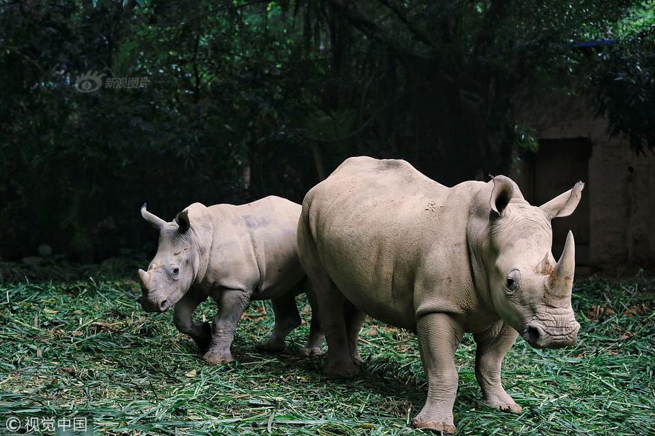 電腦如何更換https證書_正義必勝！ #正義之鏟 #布萊頓 #足球 #三笘薫