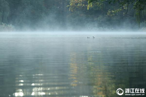 網(wǎng)店運營基礎(chǔ)實訓(xùn)系統(tǒng)答案客服_當(dāng)前中日關(guān)系緊張未引起中國普通民眾共鳴？外交部回應(yīng)