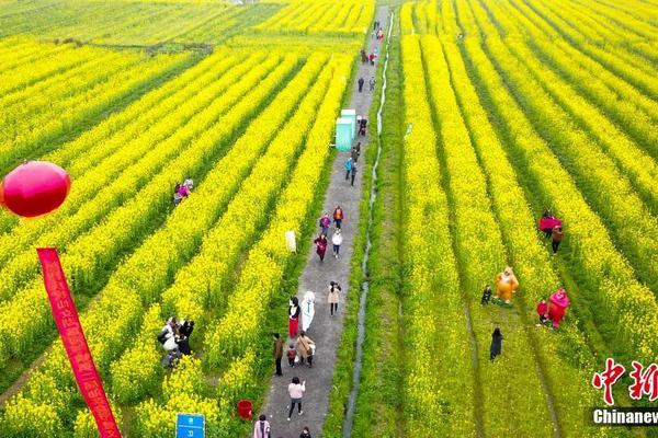 網(wǎng)絡(luò)安全服務(wù)工程師拉鉤招聘_“九天”無人機(jī)成功首飛