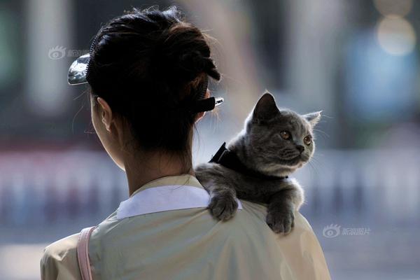 seo搜索詞_世界前十:謝奧菲勒重回第三 羅斯進入前十