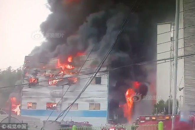 seo搜索詞_世界前十:謝奧菲勒重回第三 羅斯進入前十