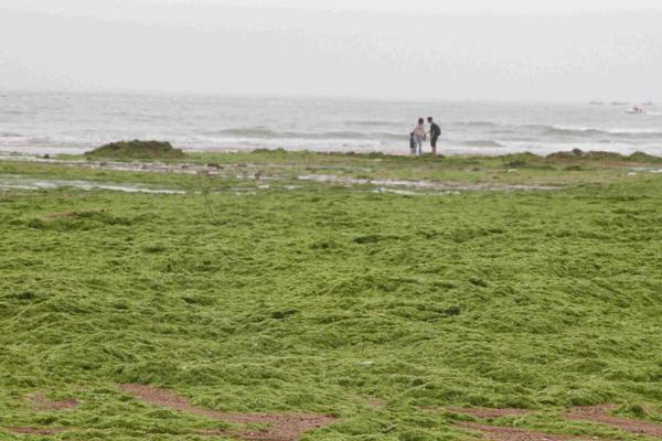 網(wǎng)絡(luò)詐騙怎么報(bào)案最有效_BMW女子賽金世煐破五年冠軍荒