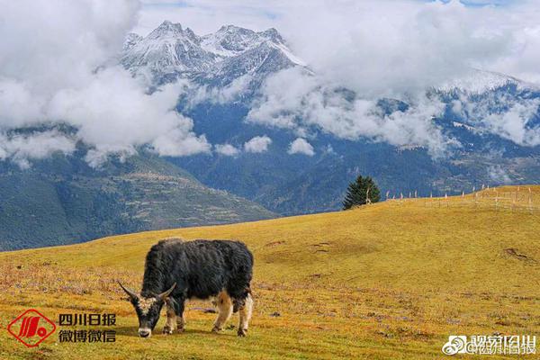 63歲“乒乓阿嫲”逐夢(mèng)殘?zhí)貖W