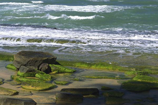 網(wǎng)頁實時翻譯為中文_外媒：巴基斯坦一哨所遭武裝分子襲擊 6名士兵死亡