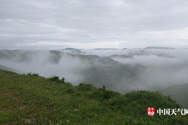 在國外騙外國的錢怎么辦_同學(xué)聚會，妻子和竹馬再續(xù)前緣，我決定成全他們后，妻子不樂意了
