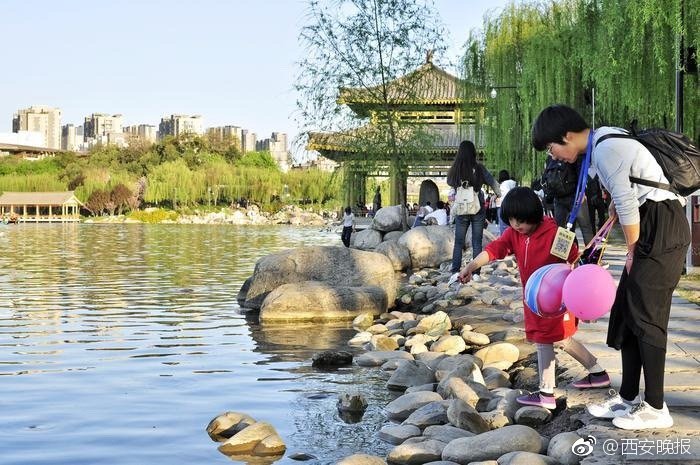 拼多多漏洞事件_一中學女生遭同學毆打