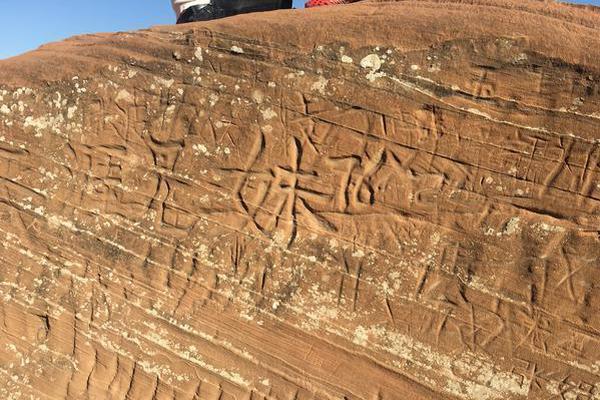 怎么找外國(guó)客人_拒絕加班！用老板的網(wǎng)速偷偷打BOSS