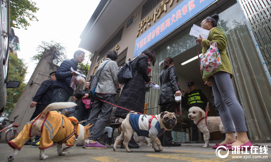 cf大牛工作室輔助cf_風(fēng)云T8申報(bào)圖曝光 封閉前臉 101km純電續(xù)航