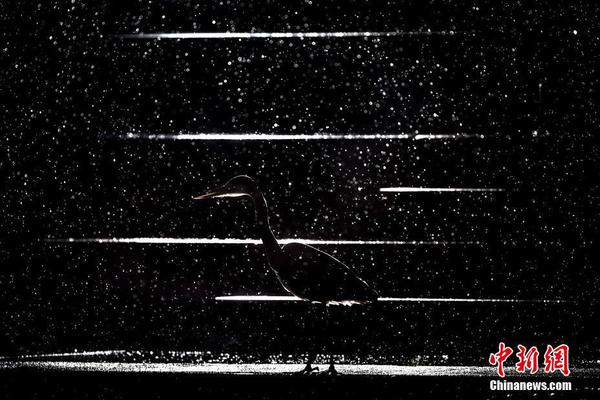 日方稱中方?jīng)]有提前通報(bào)訓(xùn)練?？沼?，外交部回應(yīng)