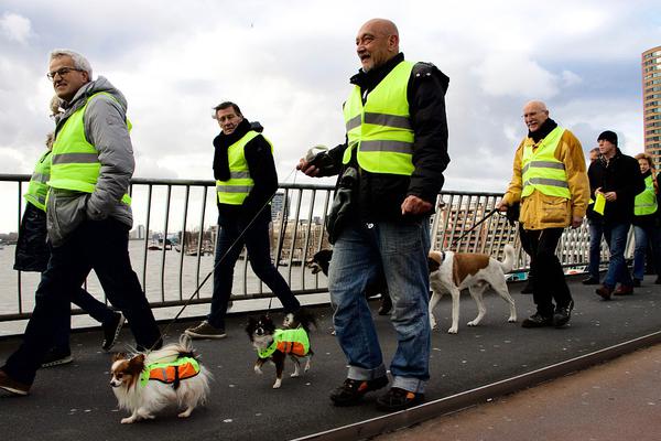 cmd監(jiān)測(cè)_Vlog｜筆尖下，用心觸摸西藏