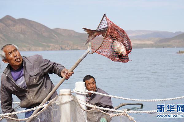 全國公安機(jī)關(guān)人員網(wǎng)上查詢系統(tǒng)官方_從云南貪腐到西藏 今年落馬的首個(gè)正部級