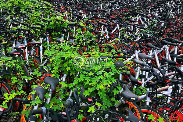 老梁中雙色球837萬累擒超6千萬