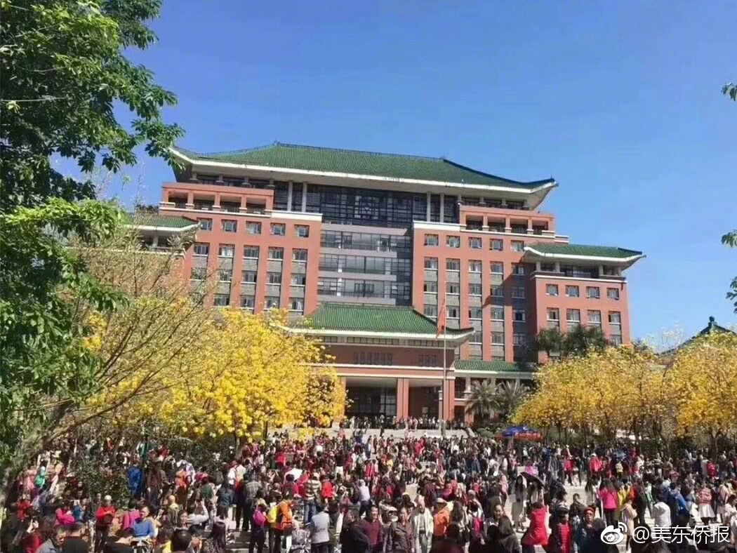 政府網(wǎng)站建設(shè)的意義_打工人夢(mèng)想中的生活，寵物已經(jīng)提前過(guò)上了