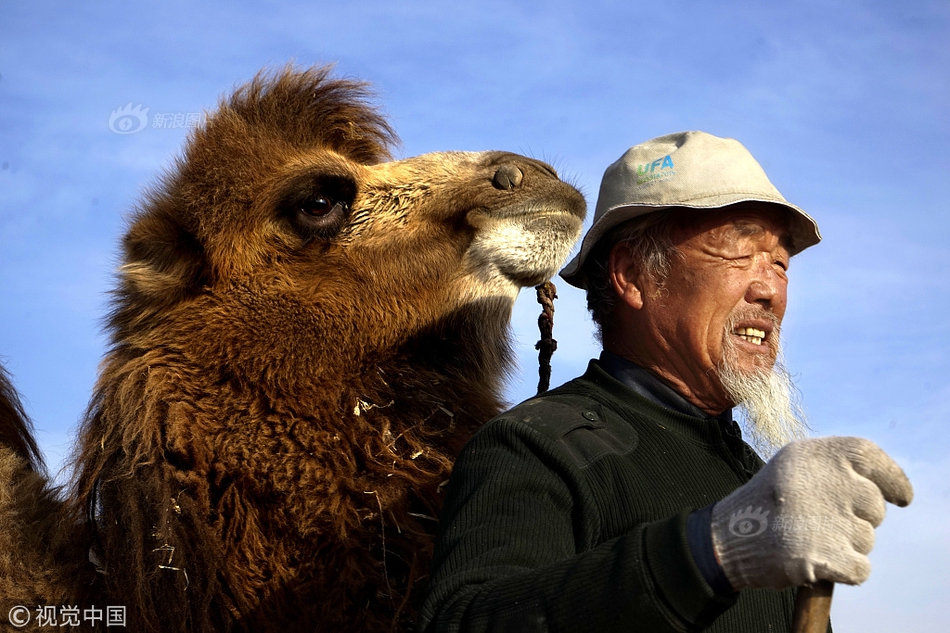 windows系統(tǒng)滲透工具大集合_米亞托維奇：皇馬應(yīng)如待C羅般給姆巴佩喂球；我們當(dāng)年不談裁判