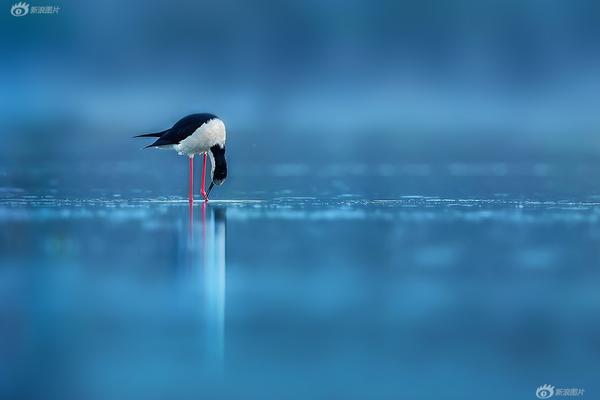 國(guó)家能源局：今年原油產(chǎn)量有望達(dá)到2.15億噸