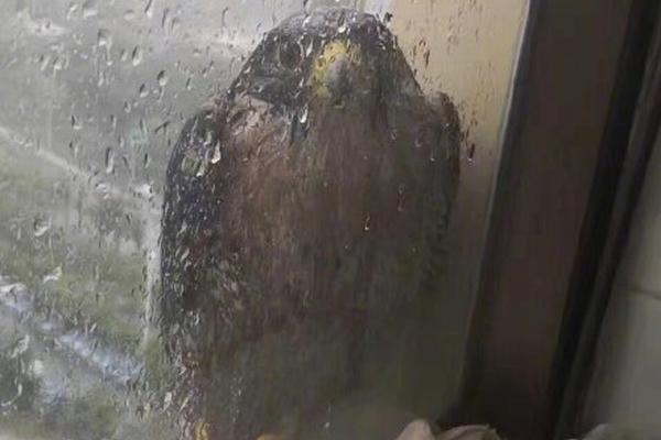 中英文翻譯一個字多少錢_廣東汕頭火災(zāi)事故遇難人數(shù)升至12人