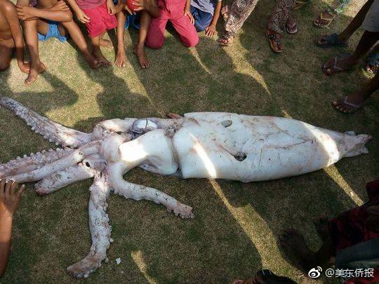 IP地址批量查詢_公募發(fā)行熱度不減 本周38只新基齊發(fā)