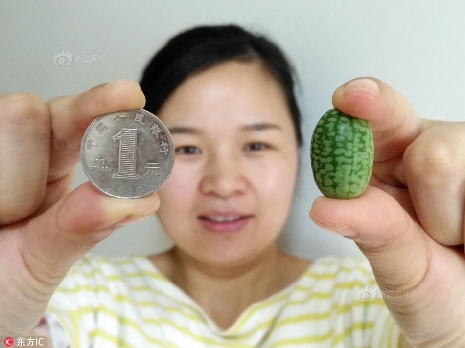 滲透測試公司服務(wù)資質(zhì)_“傳統(tǒng)風華——凌澤欣詩詞邀請書畫家作品聯(lián)展”在合川啟幕