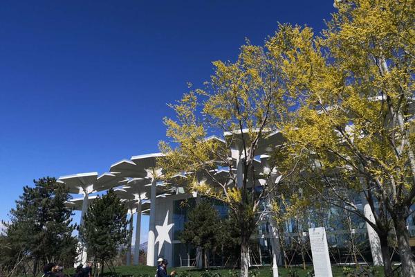 教堂里有一個(gè)特別的食譜你能找到么_大師畫喜鵲，抬頭見喜