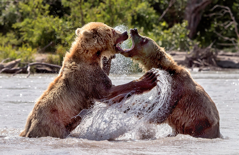 金融類網(wǎng)站_7400億興證全球基金換帥，能否打贏ETF卡位戰(zhàn)？