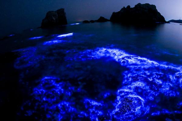 kali侵入監(jiān)控_你點的三家外賣可能出自同一口鍋