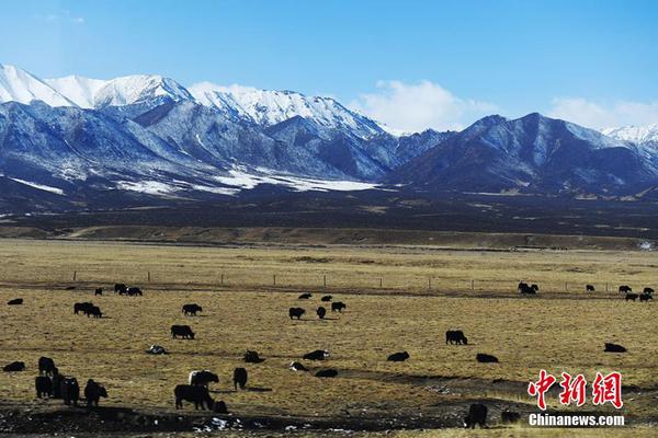 不免費(fèi)的教學(xué)網(wǎng)站_顧客AI合成死螃蟹要求退款 被拘8日 195元全額追回
