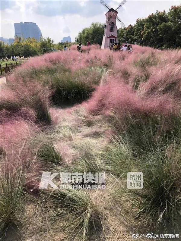 靜態(tài)網(wǎng)頁設(shè)計代碼案例_山海協(xié)同陸海聯(lián)動繪就萬里山河新畫卷