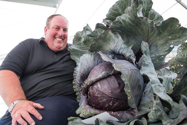 手機(jī)短信攻擊器下載_搶先試全新寶馬iX3 操控好續(xù)航長不暈車